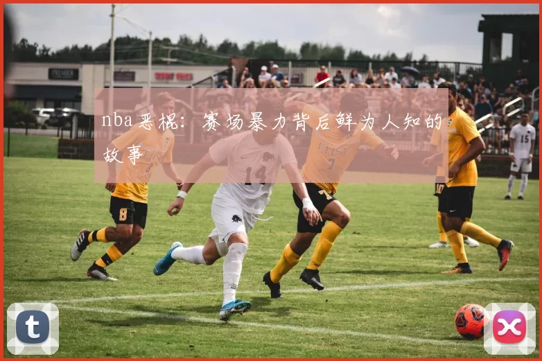 nba恶棍:赛场暴力背后鲜为人知的故事