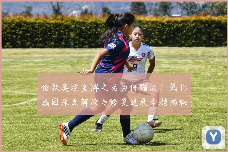 伦敦奥运金牌之光为何黯淡?氧化成因深度解读与修复进展专题揭秘